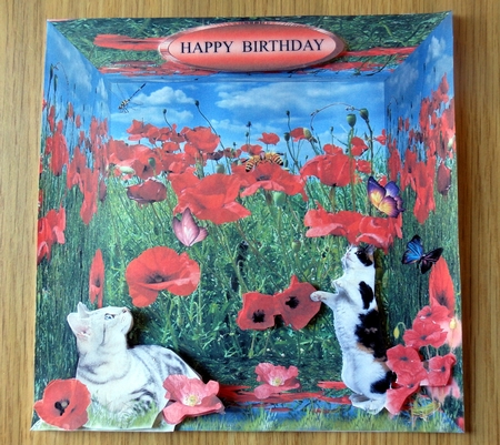 in the poppy fields by Helen Gomm