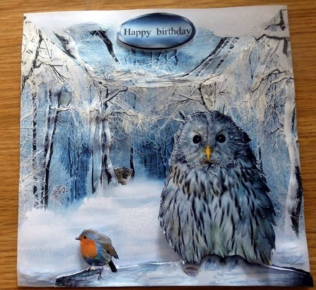 owls in the wild by Helen Gomm