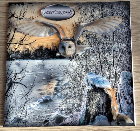 fox and the owl by Helen Gomm