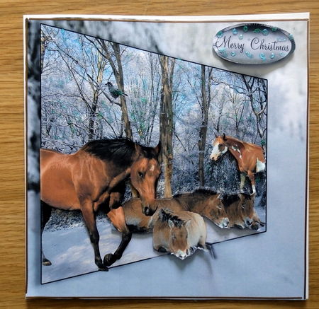 winter time  by Helen Gomm