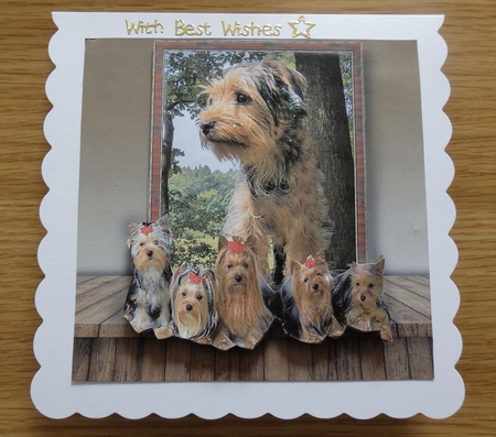 yorkie by Helen Gomm