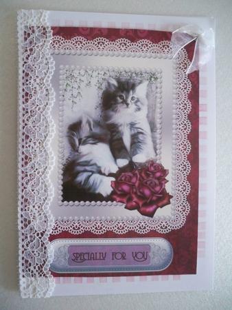 Kittens & Roses by Helen Gomm