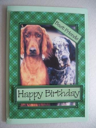 It's a Dogs Life! 4 Quick Card by Helen Gomm