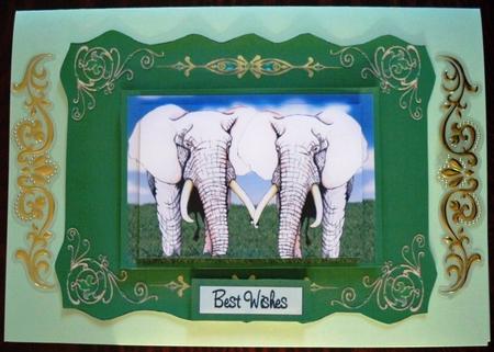 Elephants Never Forget by Helen Gomm