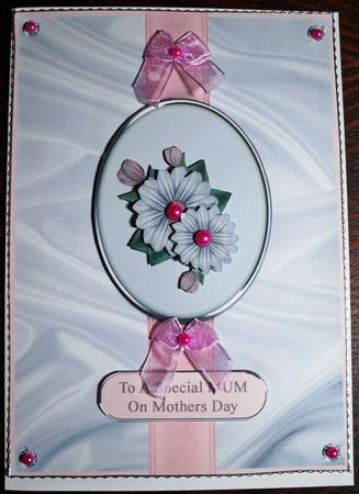Cameo Daisies in Pink - Mothers Day by Helen Gomm
