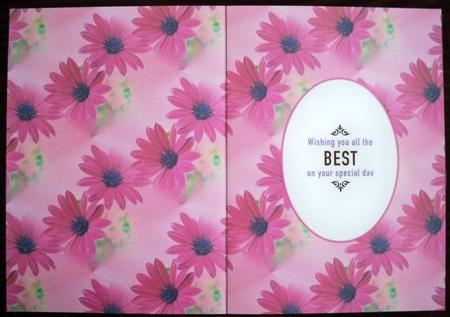 Pink Florals Insert by Helen Gomm