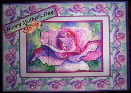 Single Pink Rose in Pink Rose Frame Pyramage by Helen Gomm