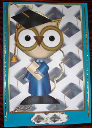 Male Graduate Owl by Helen Gomm