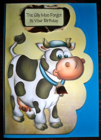 Silly Moo Scalloped Card Front by Helen Gomm