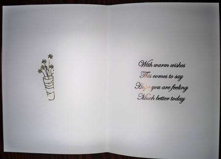 Get Well Insert by Helen Gomm
