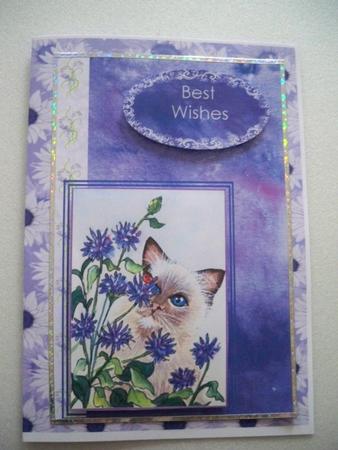Cat and Cornflowers Quick Card by Helen Gomm