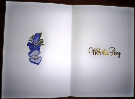 Wedding Ring Insert by Helen Gomm