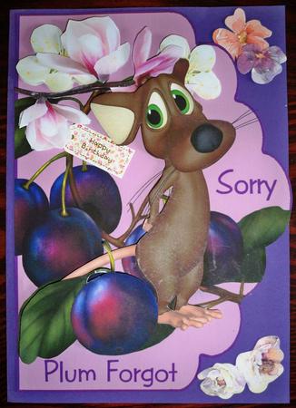 Sorry Plum Forgot by Helen Gomm