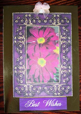 Flowers in Frame by Helen Gomm