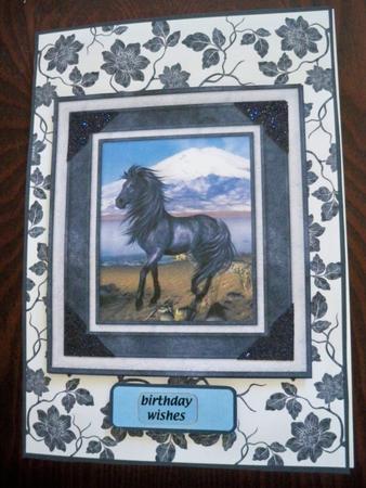 Black Beauty by Helen Gomm