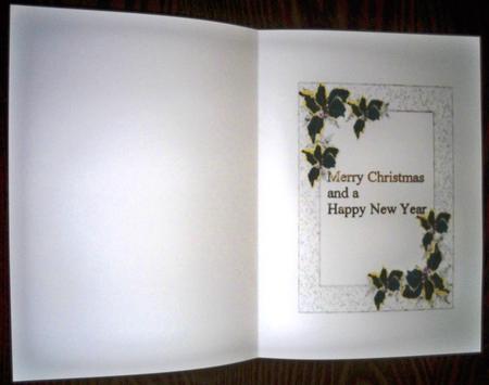 Holly Insert by Helen Gomm