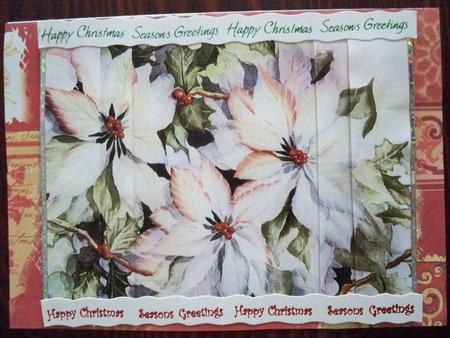Christmas Poinsettias by Helen Gomm