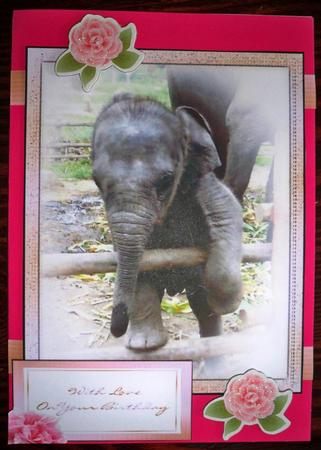 Baby Elephant Topper by Helen Gomm