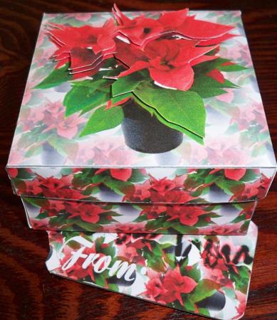 Poinsettia Square Box with Lid by Helen Gomm