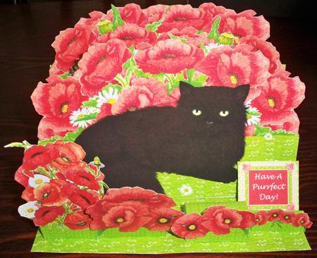 Black Cat & Poppies - Giant 3D A4 Easel Card Kit by Helen Gomm