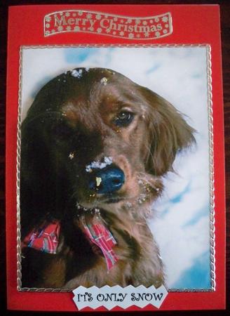 A4 It's Only Snow by Helen Gomm