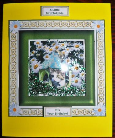Jess the Cat Bird Watching Square Decoupage Shaker Card by Helen Gomm