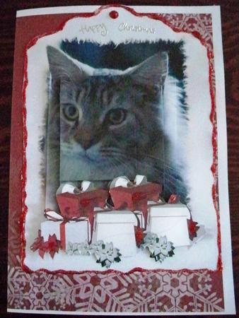 Cute Cat Christmas Quick Card by Helen Gomm