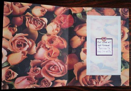Special Couple Insert by Helen Gomm