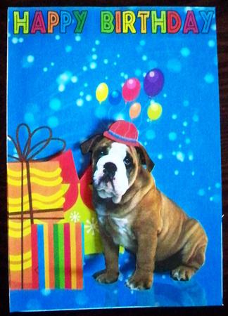 Fun Birthday Greeting Card with Bulldog by Helen Gomm