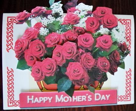 Red Roses for a Special Lady by Helen Gomm