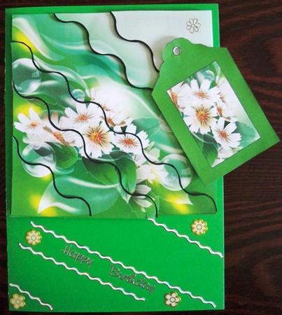 Dasies & Bubbles by Helen Gomm