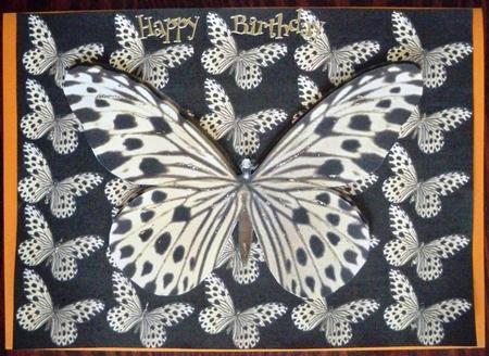 Butterfly Dream by Helen Gomm