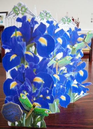 Concertina Blue Iris Dragonflies Over the Edge 3D Card Kit by Helen Gomm