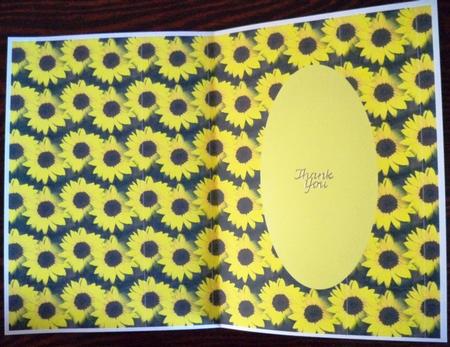 Sunflower Insert by Helen Gomm
