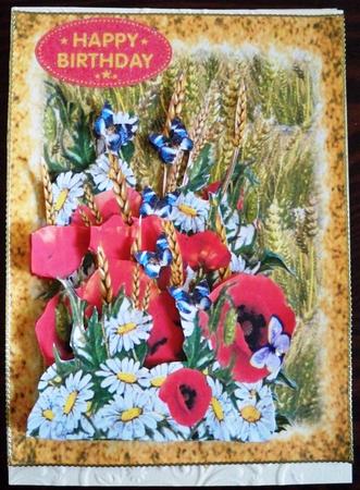 Colour in the Cornfield Card Kit by Helen Gomm