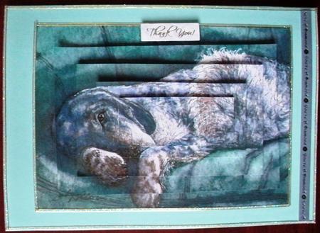 Just Thinking 'bout Resting My Eyes Pyramage by Helen Gomm