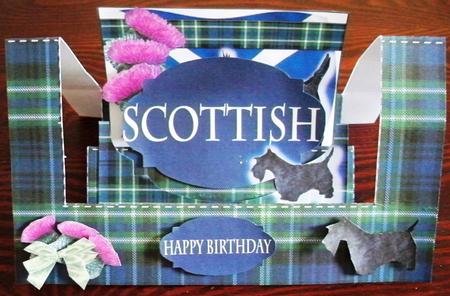 W Side Fold Scottish by Helen Gomm