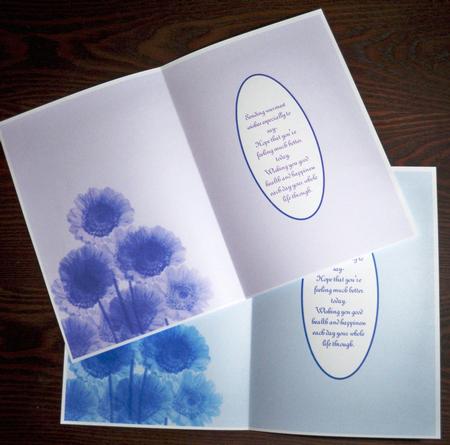 Pastel Gerbera A5 Inserts by Helen Gomm