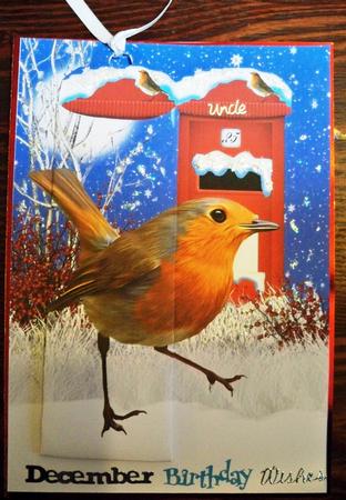 Bookmark Christmas Robin Card Front by Helen Gomm