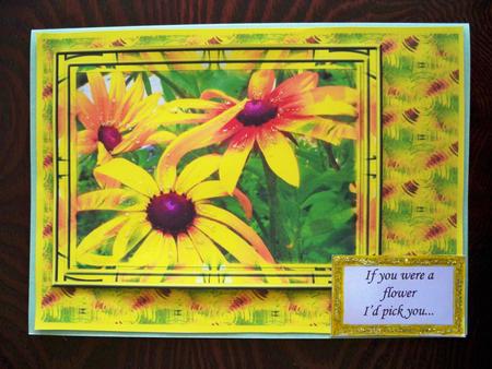 Black Eyed Susans by Helen Gomm