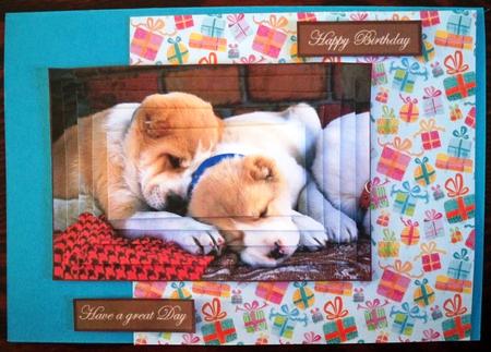 Puppy Dog Litter Mates Card Front with Pyramage by Helen Gomm