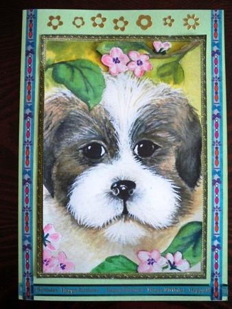 A4 Cute Little Dog by Helen Gomm