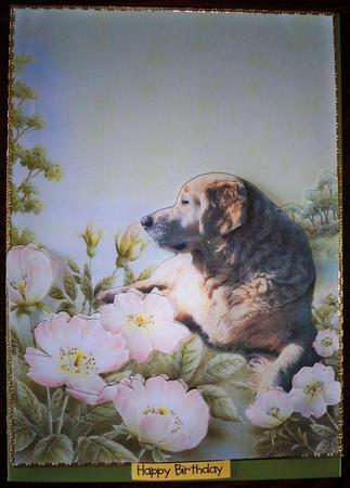 Golden Retriever in a Flower Meadow Decoupage by Helen Gomm