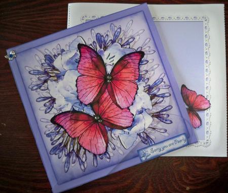 8 x 8 Butterflies & Flowers Fan Pyramage Kit by Helen Gomm