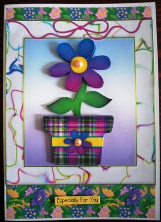 Flower in Tartan Pot by Helen Gomm