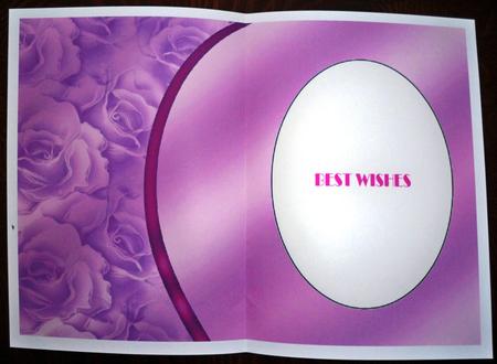 Pink Rose Insert 1 by Helen Gomm