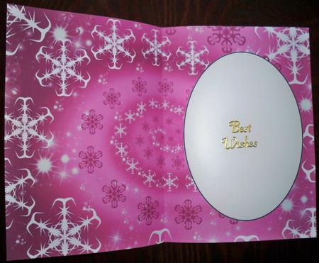 Pink Snowflake Insert 1 by Helen Gomm