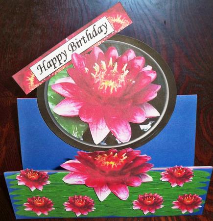 Easy Pop Up Card Water Lily Mini Kit by Helen Gomm