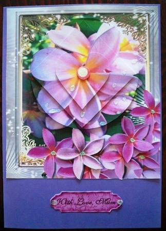 Frangipani by Helen Gomm