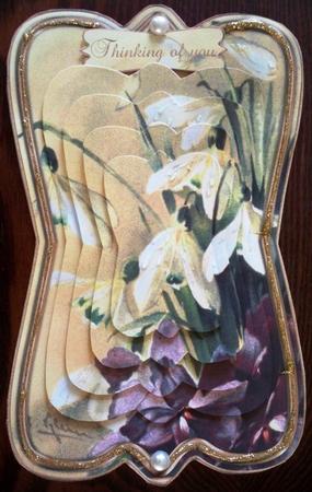 Beautiful Painted Snow Drops Shaped Card Mini Kit by Helen Gomm